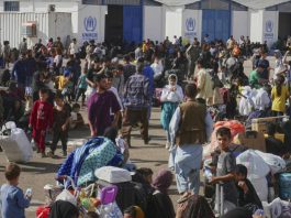 Mass Expulsion: Iran Deports 500,000 Afghans in Just Two Weeks, UN Confirms