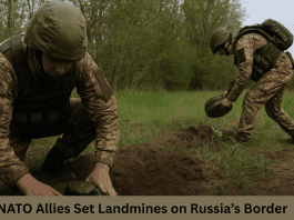 NATO Allies Deploy Landmines to Raise ‘Iron Curtain’ on Russia’s Doorstep