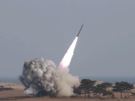 Houthis highlight growing military capabilities with hypersonic and drone strike