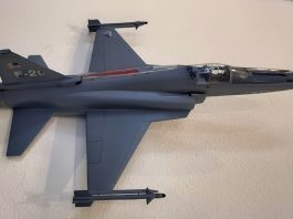 U.S. Air Force rejects F-20 Tigershark adoption after prototype crashes