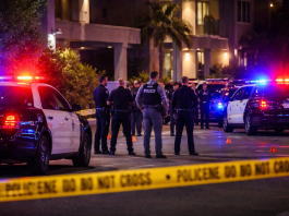 ICE officer fatally shoots armed man in Los Angeles as agencies open probe after gunfire report