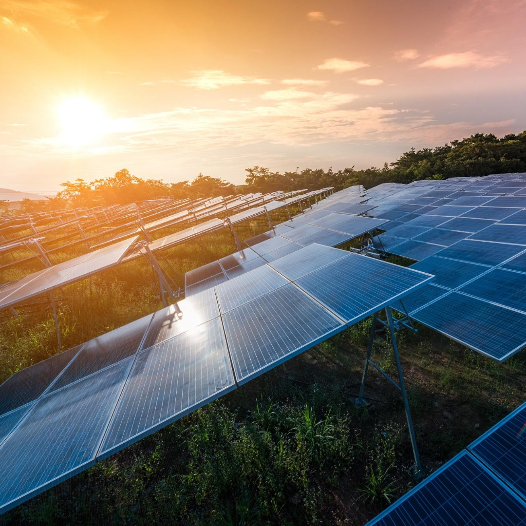 Hidden Kill Switches in US Solar Farms Expose Risks of Chinese Equipment