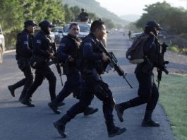 🧬 Forensic Nightmare: 20 Dead, No IDs—Mexico Struggles to Keep Pace With Cartel Killings