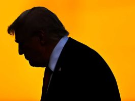 Unshakeable Shadows: Why Donald Trump Can’t Escape the Epstein Files