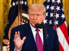 Trump Calls Musk’s Political Party ‘Ridiculous’ in Explosive Rejection