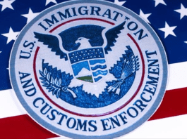 Street vendor Jorge Cruz, a green card holder, taken into ICE custody in Los Angeles