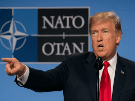 Trump backs NATO defense of Poland and Baltic states as Russia airspace incursions increase