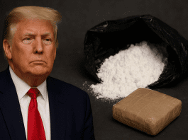 Experts link cheaper cocaine in US to federal agents redirected under Trump immigration push