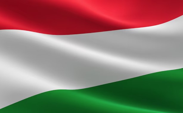 Hungary’s defense ministry rejects request for NATO air defense backup despite drone threats