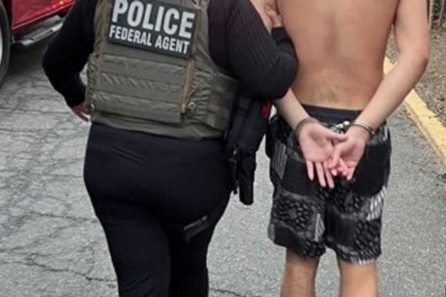 Homeland Security video highlights ICE raids but triggers backlash for Pokemon references