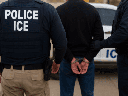 ICE arrests seven people in Madison as immigrant rights groups raise concern