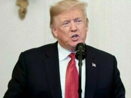 Trump shifts focus to Russia-Ukraine war after Gaza ceasefire and plans talks with Zelenskyy