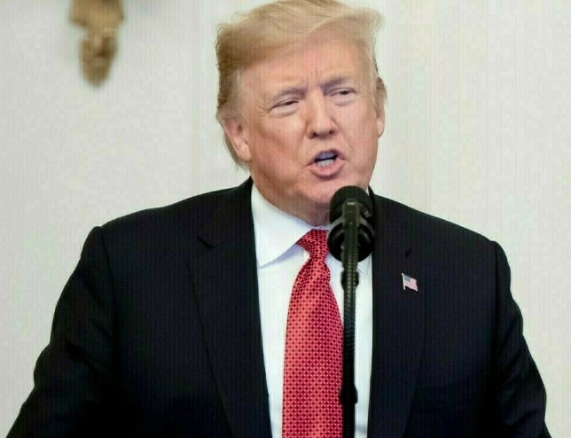 Trump shifts focus to Russia-Ukraine war after Gaza ceasefire and plans talks with Zelenskyy