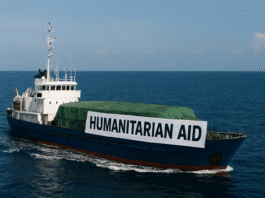 Israel blocks humanitarian aid flotilla to Gaza as Türkiye coordinates for citizen safety