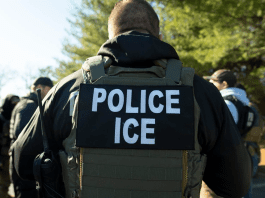 FBI and ICE conduct raid at Idaho horse arena, detaining dozens of people