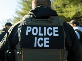 Ice detains Vahid Abedini, University of Oklahoma professor with valid H-1B visa