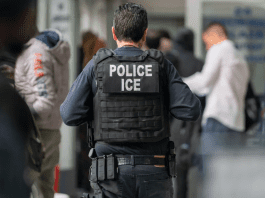 ICE outlines New York arrest after immigrant allegedly reached for taser and shouted Arabic phrase