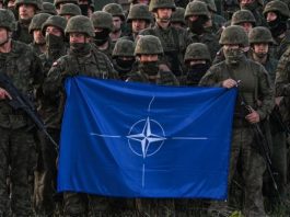 Lithuania moves to expand military training sites to support growing allied force presence