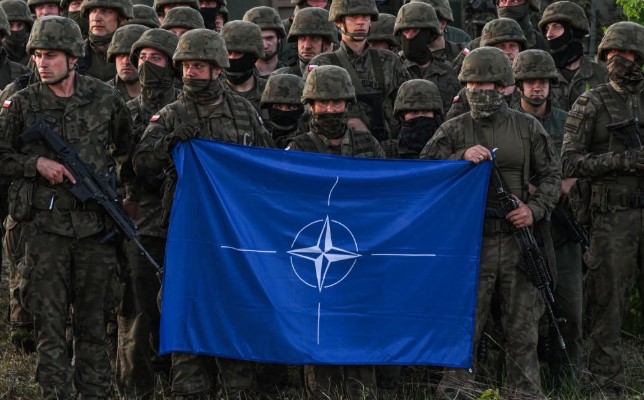 Lithuania moves to expand military training sites to support growing allied force presence