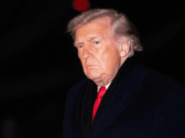 Arctic tensions ease as Trump suspends Greenland tariff threat and Europe stays on guard