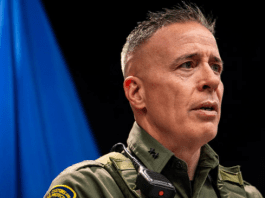 Border Patrol commander Bovino expected to leave Minneapolis as Trump sends Homan to oversee operations