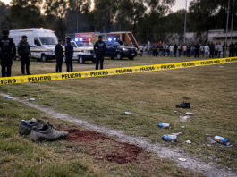 Guanajuato officials respond as 11 are killed in cartel-linked attack at local football match