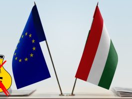 Hungary loses EU funding over 1 billion after failing to meet rule of law standards