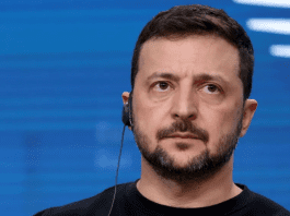 Zelenskyy warns of Russian ships near Greenland and stresses Ukraine’s NATO membership interest