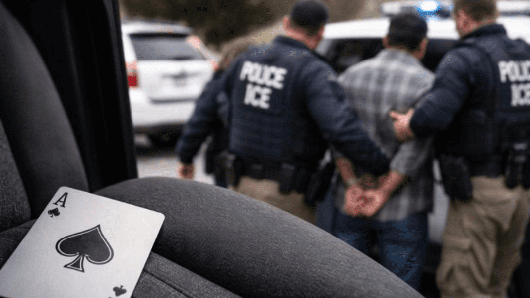 deftechtimes Colorado advocacy group raises concerns as ICE examines alleged intimidation tactics