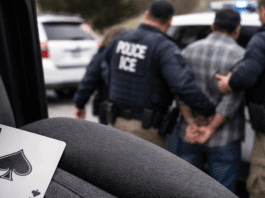 Colorado advocacy group raises concerns as ICE examines alleged intimidation tactics