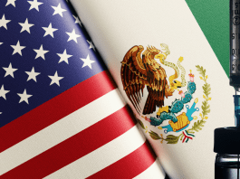 Mexico sends 37 cartel members to US as pressure grows, bringing total transfers this year to 92