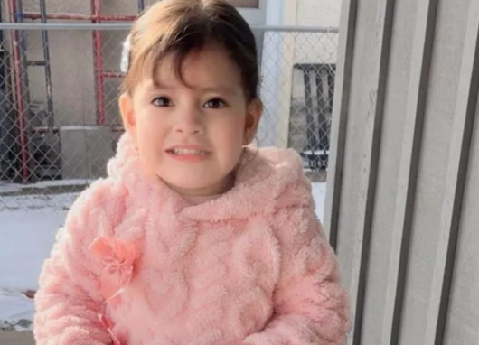 ICE moves 2-year-old and father in deportation case despite judge order, court filings raise concerns