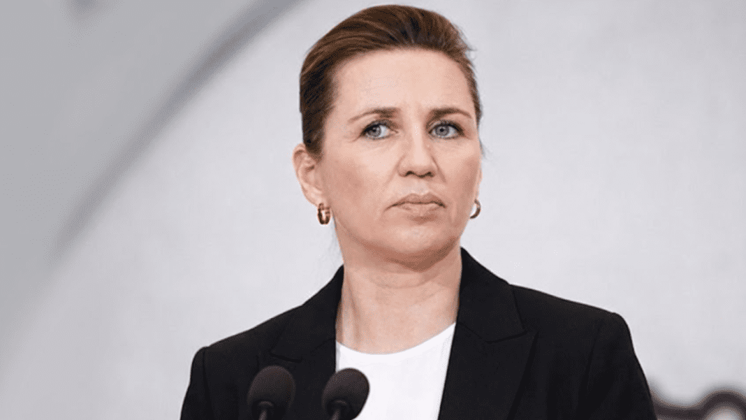 Mette Frederiksen moves to refocus Denmark politics on welfare as election speculation grows