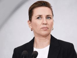Mette Frederiksen moves to refocus Denmark politics on welfare as election speculation grows