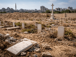 Albanese raises damaged Australian war graves in Gaza with Israel as families seek answers