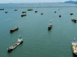 India and China among selected countries allowed transit through the Strait of Hormuz