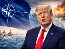Donald Trump calls NATO a paper tiger and considers withdrawing the United States